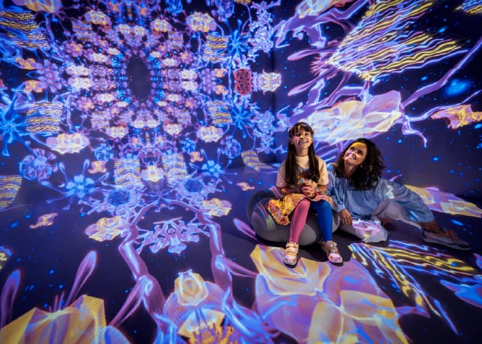 Pixel Garden digital flower projection room Dubai indoor immersive experience
