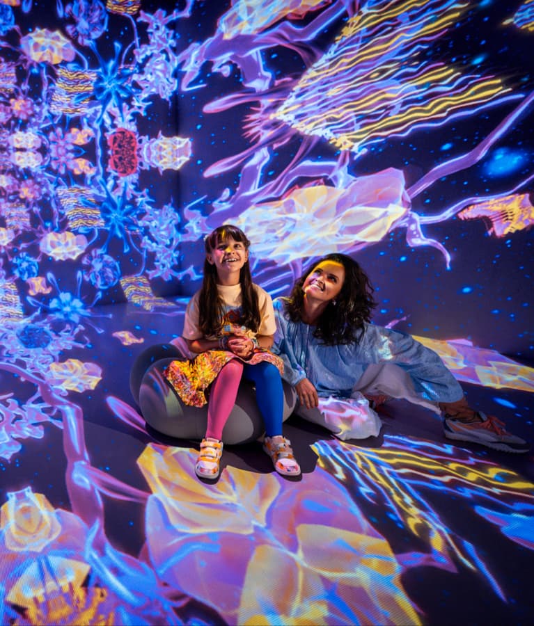 Pixel Garden indoor attractions dubai Dubai House of Hype