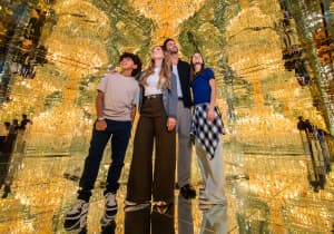 ticket-Residents Offer